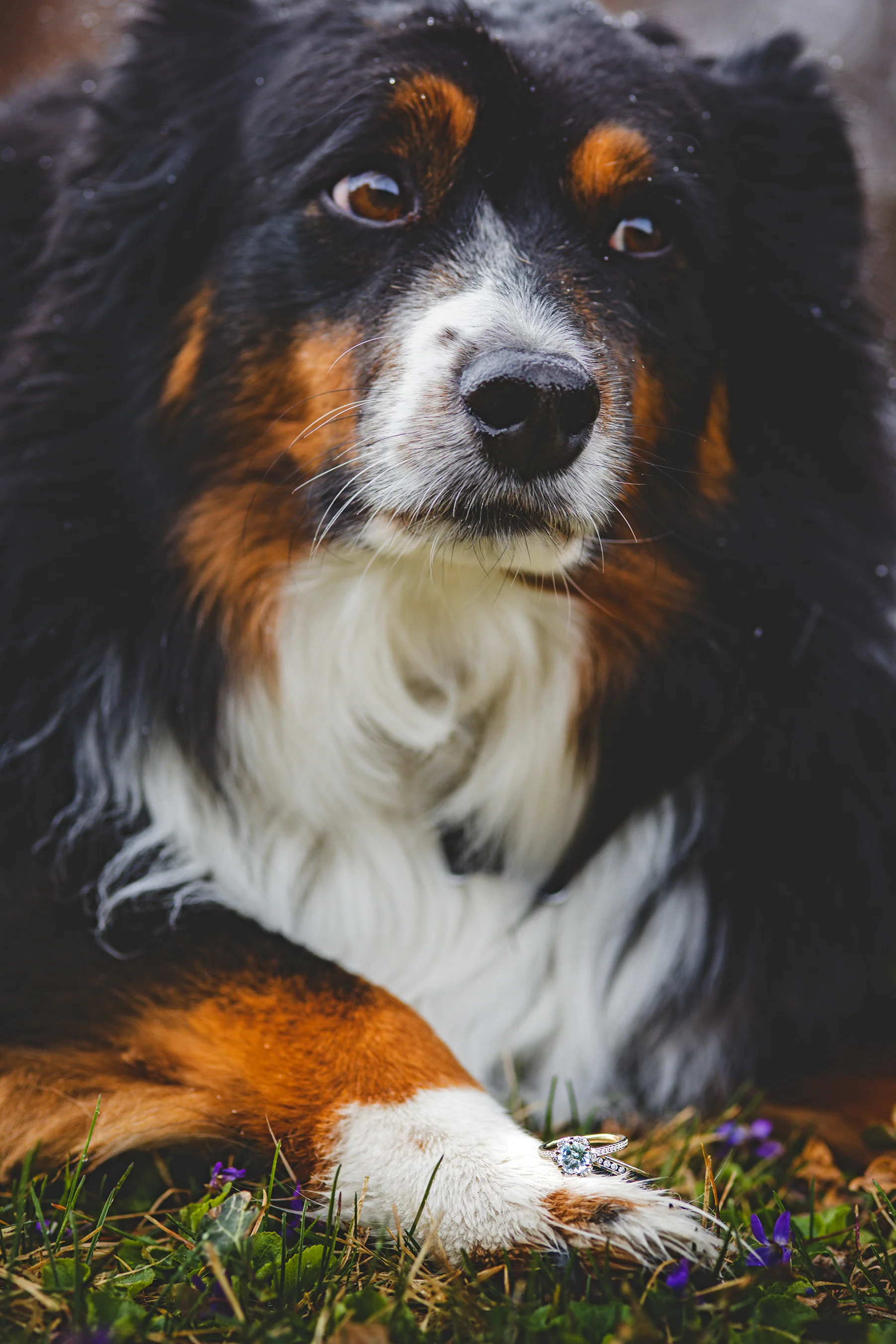 "TRIDENT" - DIAMOND & PATINA COPPER WEDDING BAND - Image 5